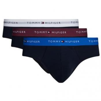 Tommy Hilfiger Slip Um0um0290 3 Unità Purple S