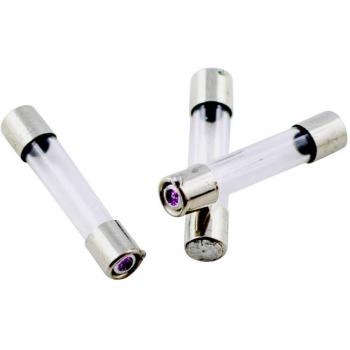 528.019 Fusibile 5 mm x 25 mm 1.6 A 250 V Semi ritardato 10 pz