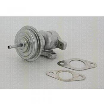 TRISCAN 8813 29043 Abgasrückführungsventil