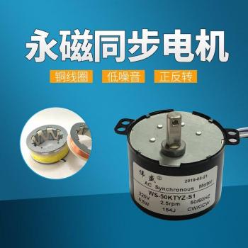 50 KTYZ Permanent Magnet Synchronous Motor