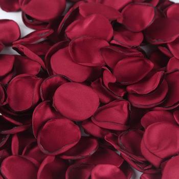100/200pcs Fabric Rose Petals for Valentine's Day Decor