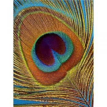 Calvendo Puzzle Pfauenfeder Makro 2000 Teile Lege-Größe 67 x 90 cm Foto-Puzzle Bild von Dagmar Laimgruber