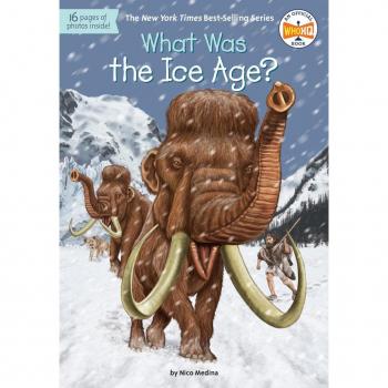 Nico Medina What Was The Ice Age?