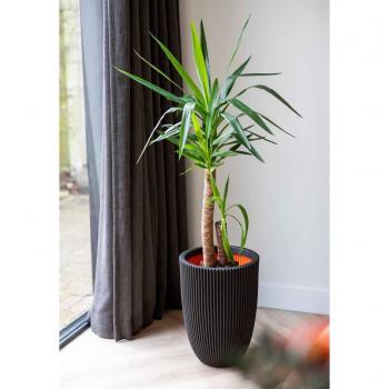 CAPI Vaso Elegante Groove 34x46 Cm Nero