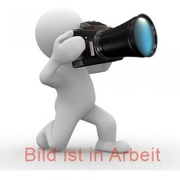 Manche en bois Hazet 795-014