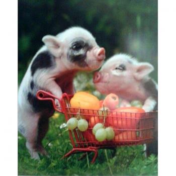 Süße kleine Schweine Diamantbild 5D DIY