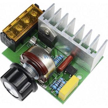 4000W 0-220V AC SCR Motorsteuerungsregler Dimmer