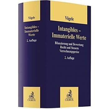 Intangibles - Immaterielle Werte