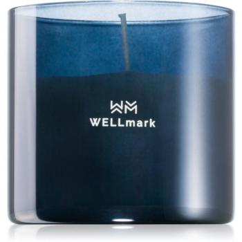 Wellmark Brave Night Scented Candle 1 Piece