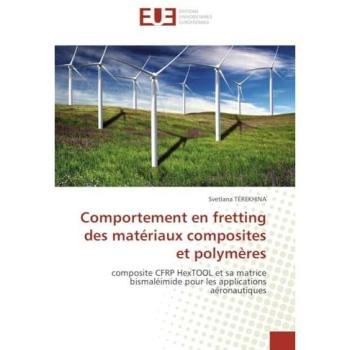 Terekhina, Svetlana: Comportement en fretting des matériaux composites et polymères