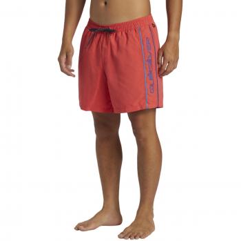 Quiksilver - Short de Natación de hombre Everyday Vert Volley 16