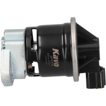 Kavo EGR Valve 2007