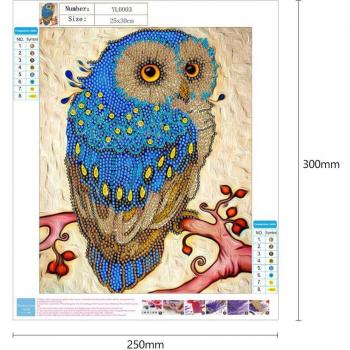 5D Special-Shaped Diamond Art Peacock Owl Home Decor 30x25cm