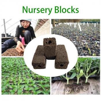 Soil-less Gardening Sponge 20x20x40MM