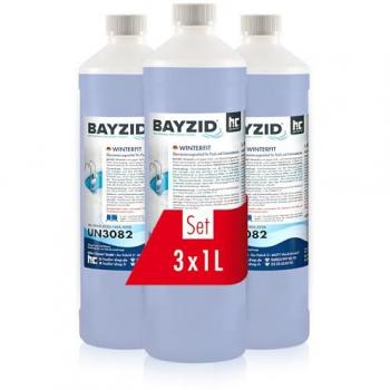 Höfer Chemie 3 × 1 L Produit d’hivernage piscine détartrant, algicide et anti‑moisissure