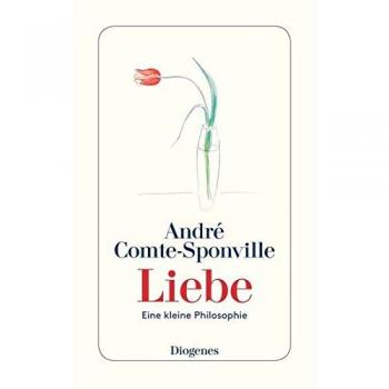 Liebe: Eine kleine Philosophie (detebe)