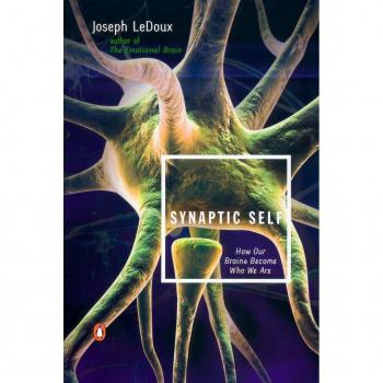 Synaptic Self