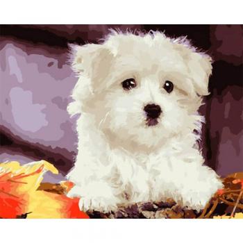 Huacan Arte DIY: Pintura de Perro