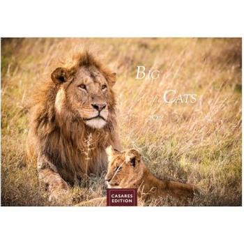 Big Cats Kalender 2026 - Wandkalender | Fotokalender Tier 24x35cm - Wunderschöner Großkatzen-. mit beeindruckenden...