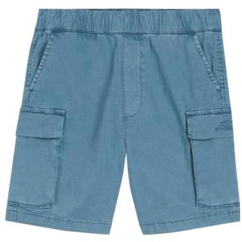 Pantaloni cargo O'Neill blu per ragazzi