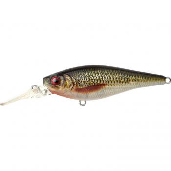 ShadSwim Cucaracha 70SL