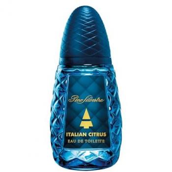 Eau de Toilette Pino Silvestre Citrus Italiano 125ml Spray Uomo