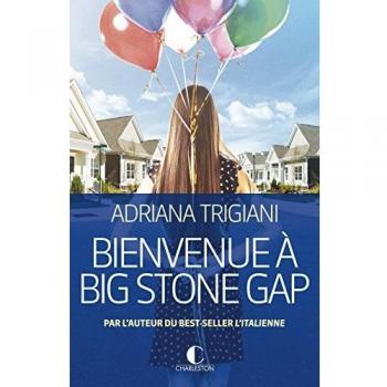 Bienvenue à Big Stone Gap