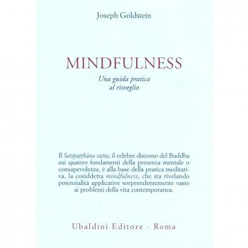 Mindfulness. Una guida pratica al risveglio