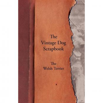 The Vintage Dog Scrapbook - The Welsh Terrier