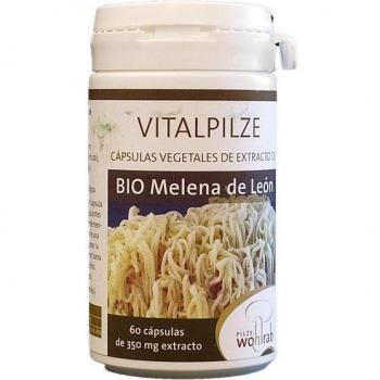 Pilze Wolhrab Melena de León 60 Cápsulas