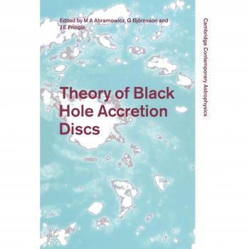 Theory of Black Hole Accretion Discs