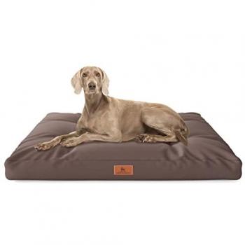 Knuffelwuff Hundematte Gatsby, wasserabweisend