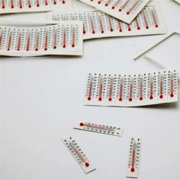 Dollhouse Indoor/Outdoor Thermometer -20 to 50°C