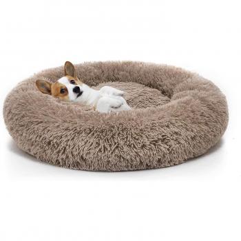 Coussin Rond Câlin pour Chiens