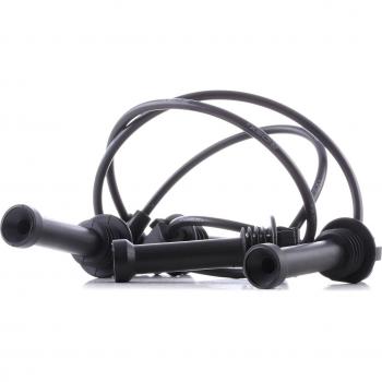 Cavi Candele Ridex 685I0398 per Ford e Mazda