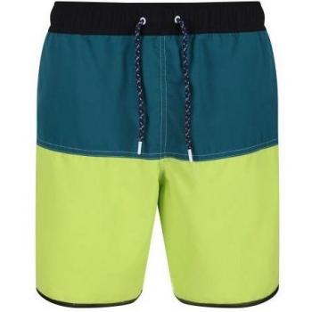 Benicio Shorts de Natation Homme Regatta