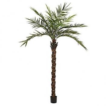 Palma Kentia Artificiale 300 cm