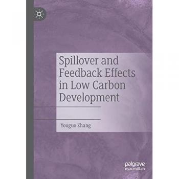Spillover and Feedback Effects in Low Carbon Development