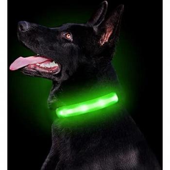 LED Dog Collar - Medium, USB Rechargeable, Waterproof, Green