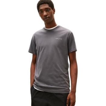 T-shirt Tommy Jeans Linear Chest DM0DM21780 grigio