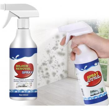 Spray Anti-Moisissure 60 ml