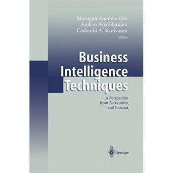 Business Intelligence Techniques: A Perspective from Accounting and Finance