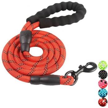 Nylon Dog Leash for Golden Retrievers