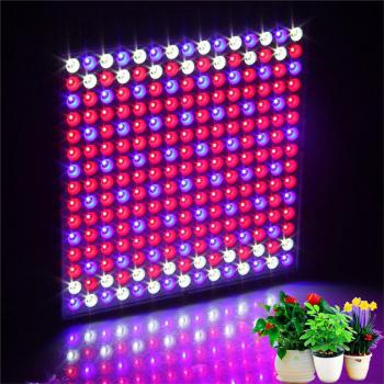 Yabstrip Full Spectrum LED Grow Light 45W