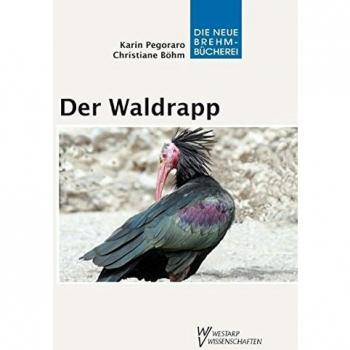 Der Waldrapp
