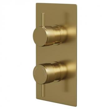Colore Concealed Twin Shower Valve - Brushed Brass Finish