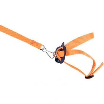 Adjustable Bird Training Leash