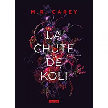 La chute de Koli