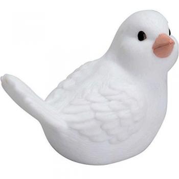 Moineau Lumineux Amadeus