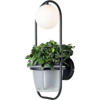 Lámpara de pared 'Orna' en Negro de Metal e.o. para Salón & Comedor (1 llama, G9)